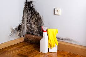 Best Water Damage & Mold Remediation  in Mount Union, PA